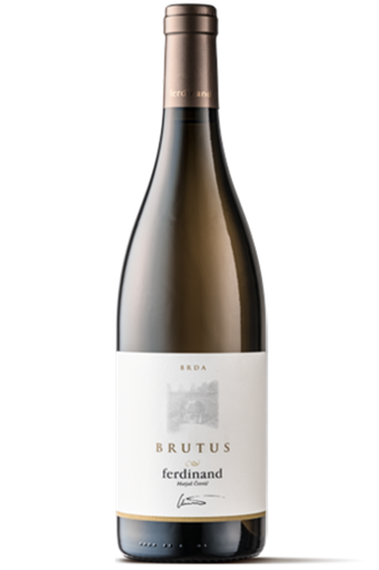[PRD000526] Ferdinand Brutus 2020