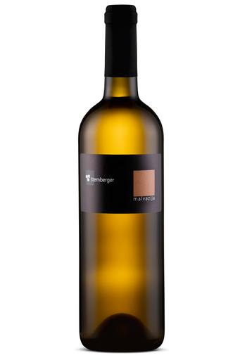 [PRD000576] Stemberger Malvazija 2024